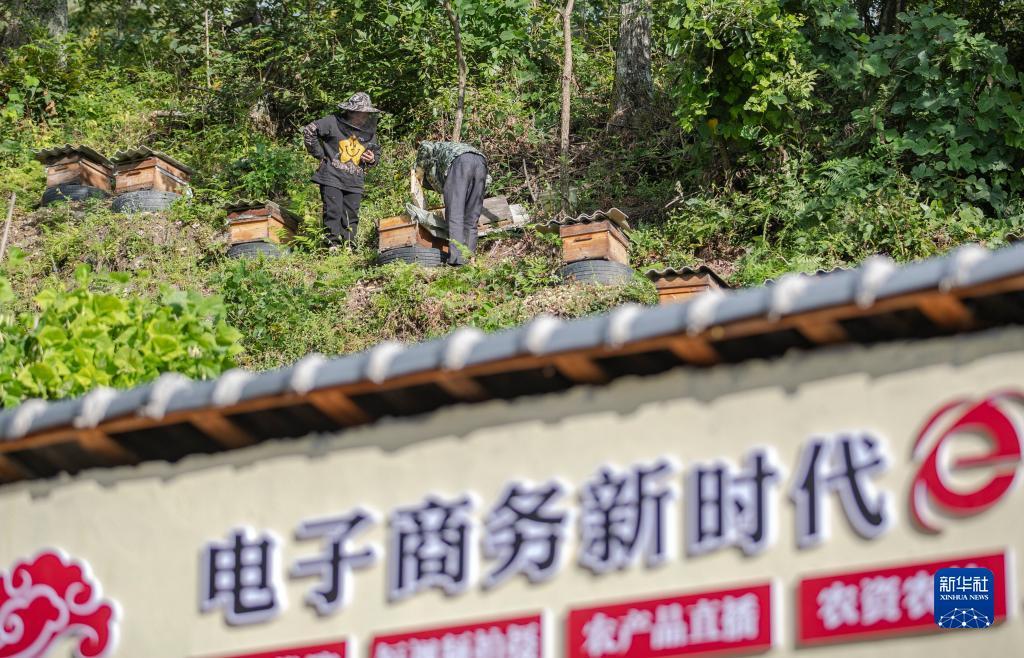ag下载网址